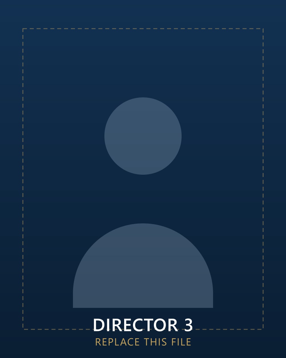 Portrait of Director Name 3, Director, Valuation & Transactions